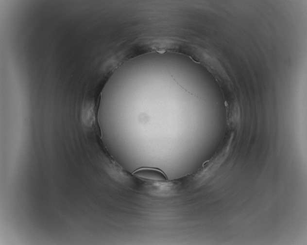 X0000110670478200906191349