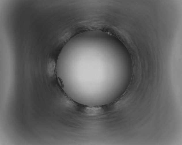 X0000110670480200906191349