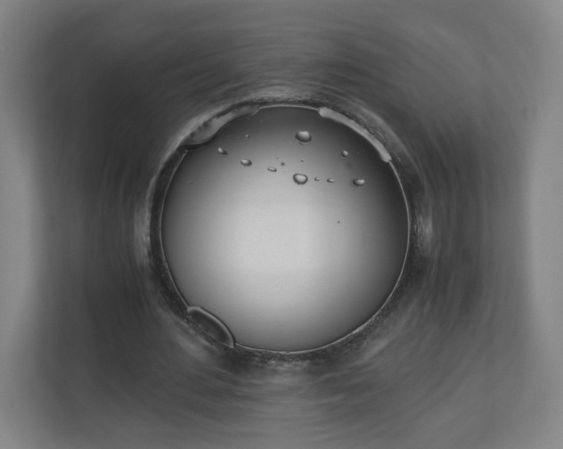 X0000110670484200906191348