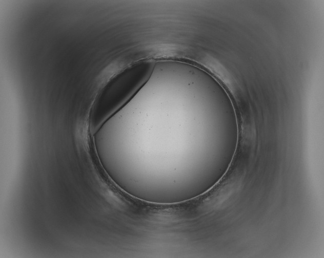 X0000110670485200906191348