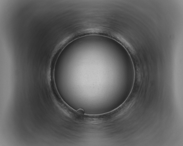X0000110670486200906191348