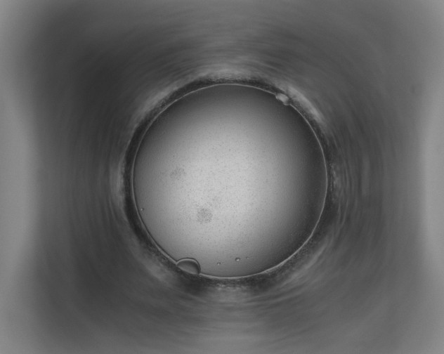 X0000110670487200906191348