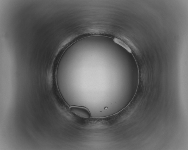 X0000110670488200906191348
