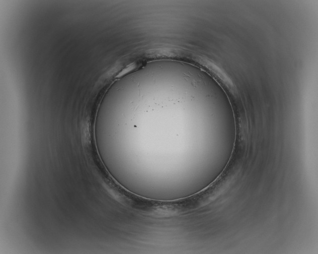 X0000110670489200906191348