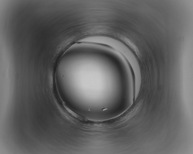 X0000110670493200906191348