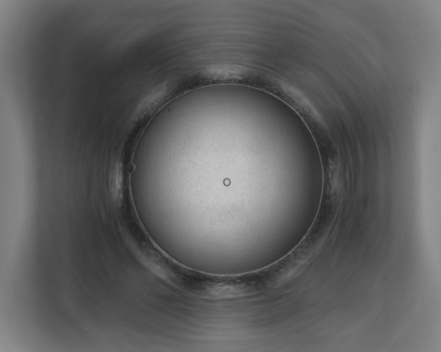 X0000110670494200906191348