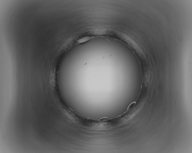 X0000110670497200906191348