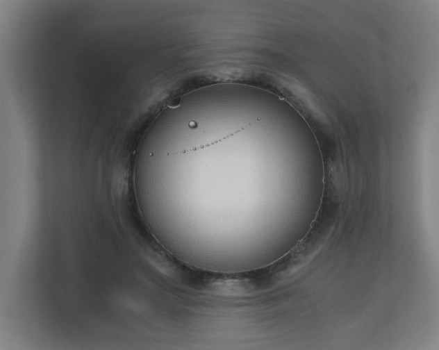 X0000110670499200906191348