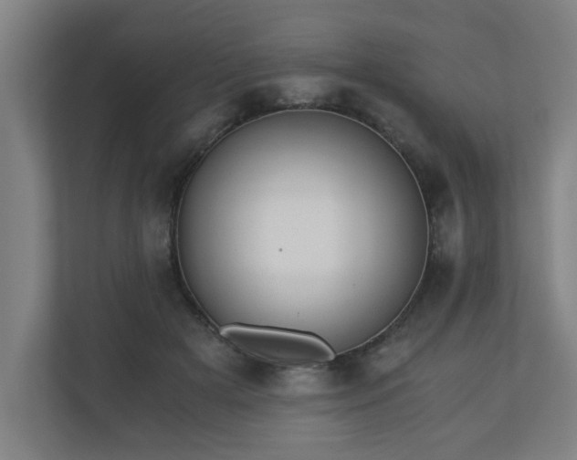 X0000110670505200906191348