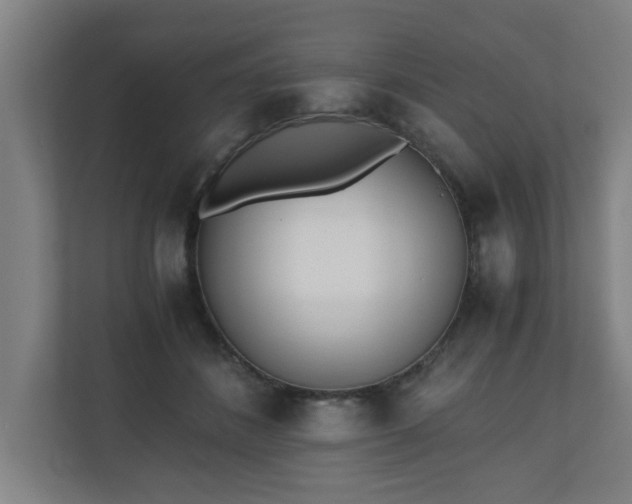 X0000110670508200906191348