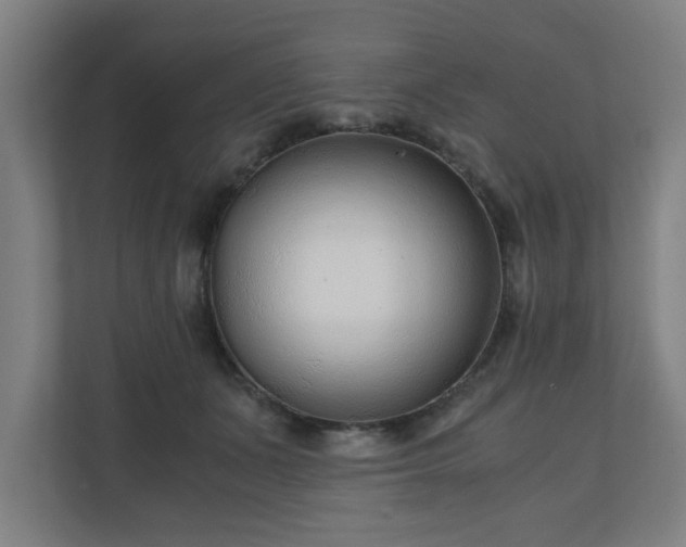 X0000110670511200906191348