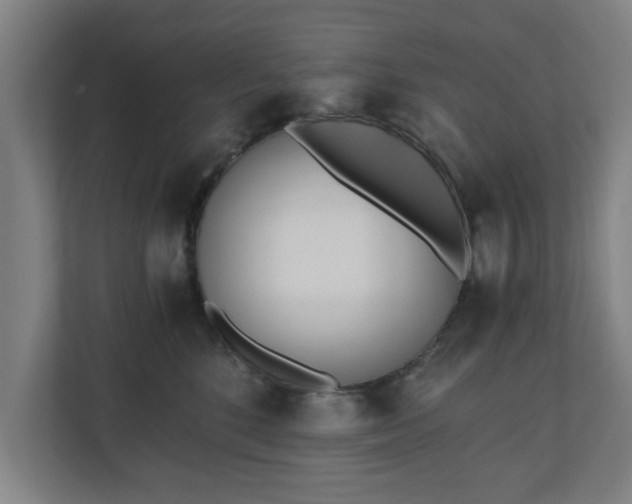 X0000110670520200906191347