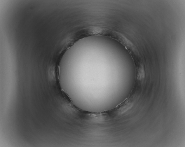 X0000110670524200906191347