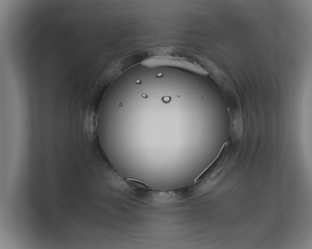 X0000110670525200906191347
