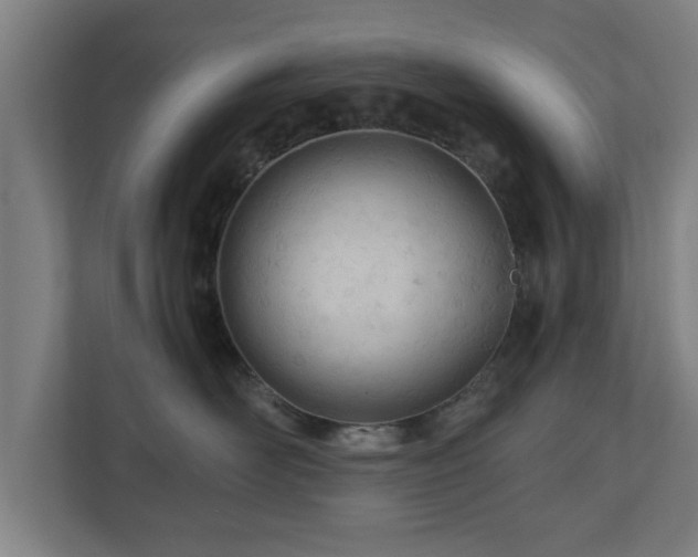 X0000110670526200906191347