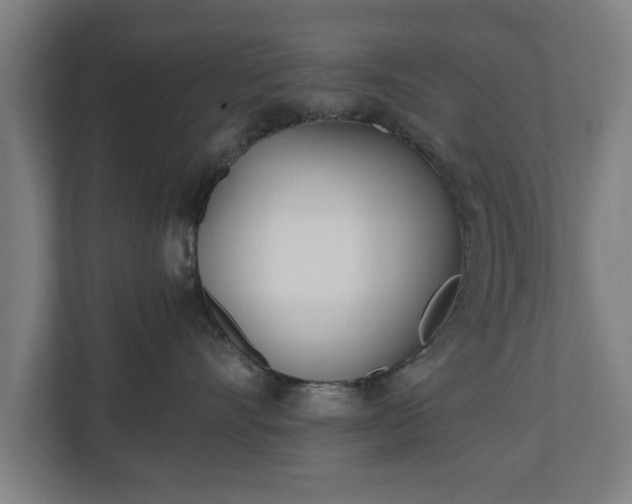 X0000110670528200906191347