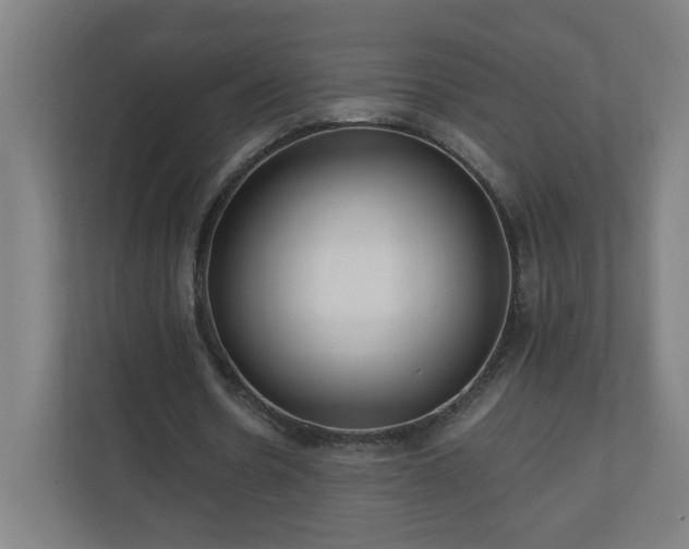 X0000110670530200906191347