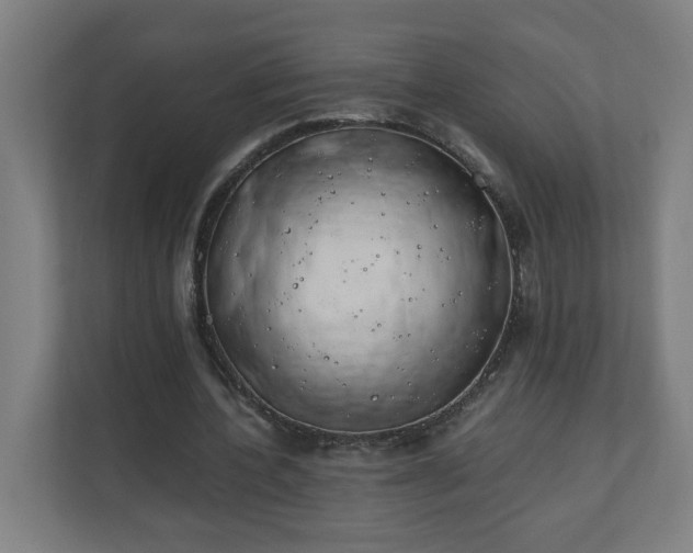 X0000110670532200906191347
