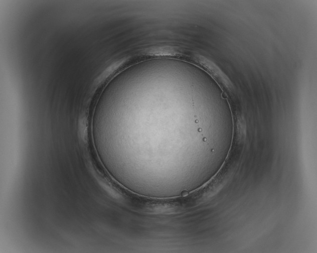 X0000110670533200906191347