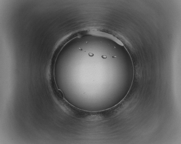 X0000110670536200906191347