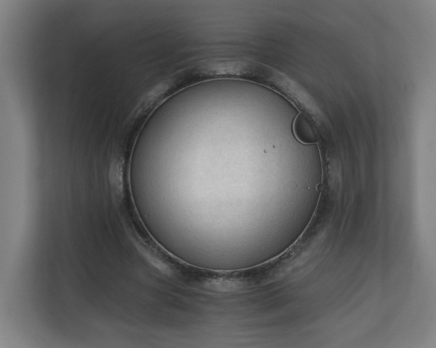X0000110670537200906191347