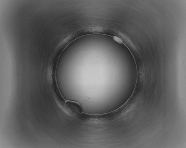 X0000110670538200906191347