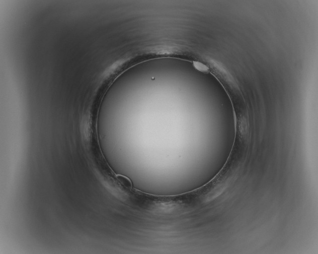 X0000110670540200906191347