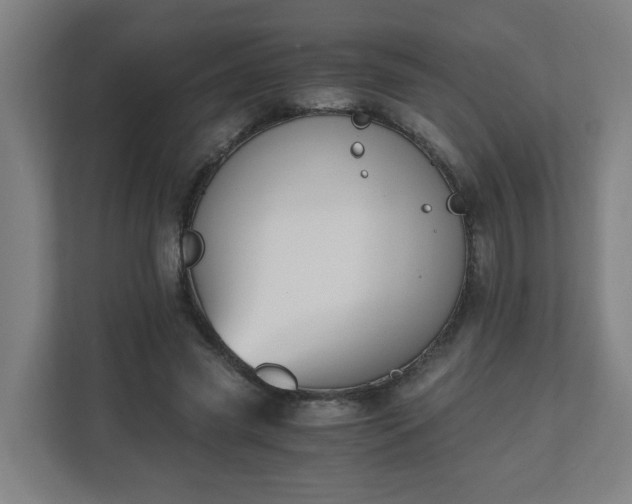 X0000110670541200906191347