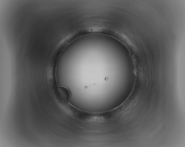 X0000110670543200906191347
