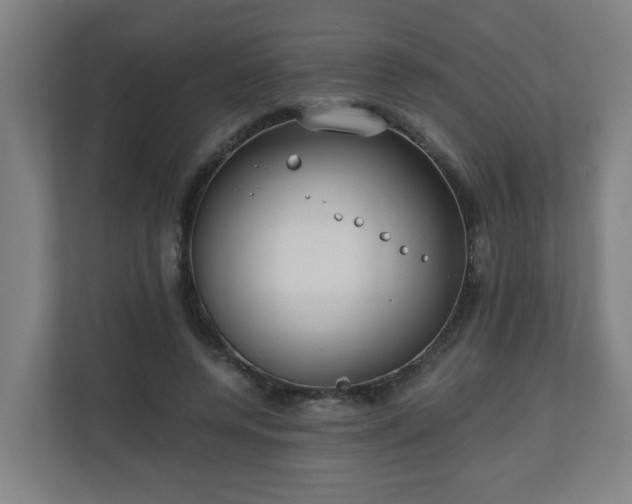 X0000110670544200906191347
