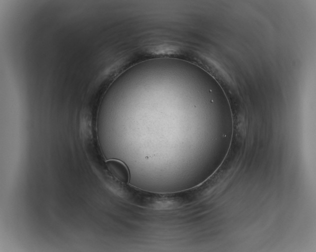 X0000110670547200906191347