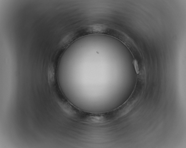 X0000110670552200906191347