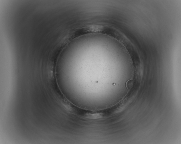 X0000110670553200906191347