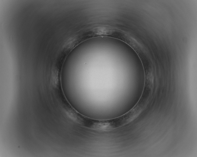 X0000110670554200906191347