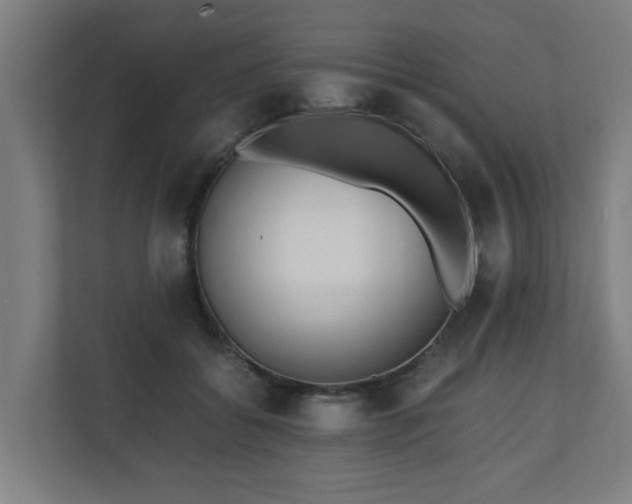 X0000110670556200906191347