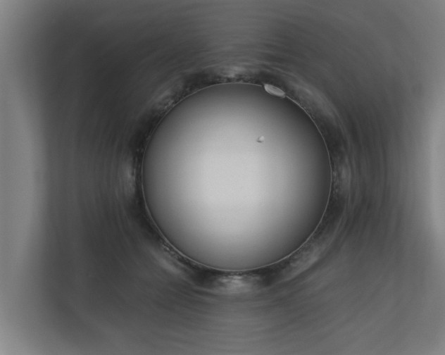 X0000110670558200906191347
