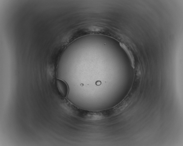 X0000110670559200906191347