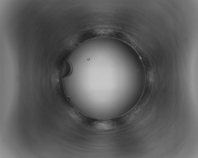 X0000110670567200906191347