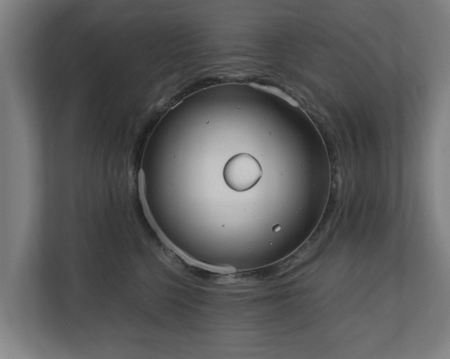 X0000110670568200906191347