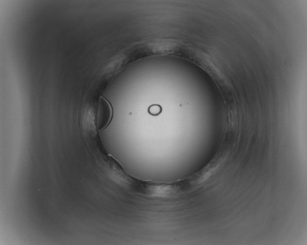 X0000110670575200906191347