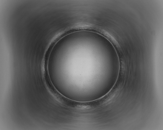 X0000110670582200906191347