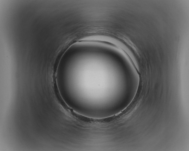 X0000110670585200906191347