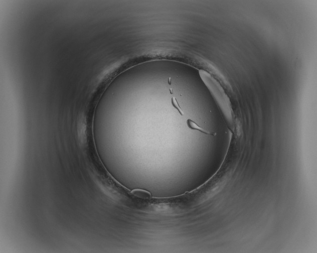 X0000110670588200906191347
