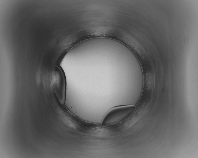 X0000110670589200906191347