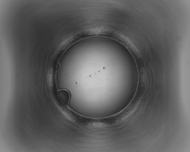 X0000110670590200906191347