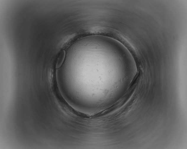 X0000110670592200906191347