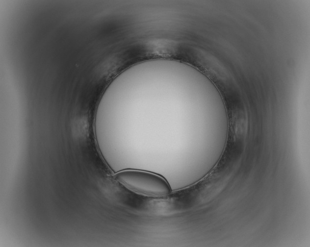 X0000110670595200906191347
