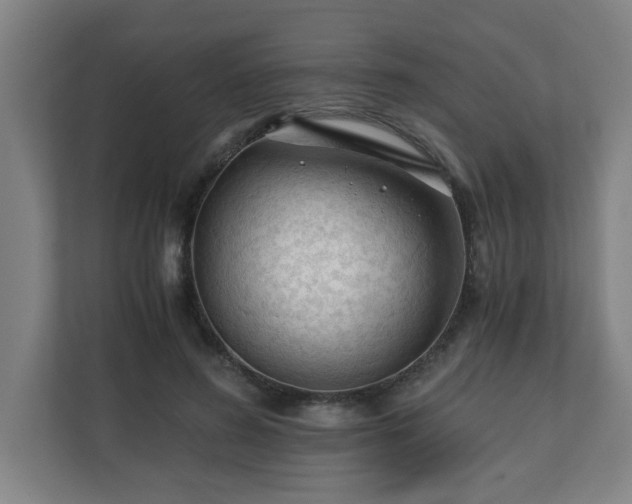 X0000110670596200906191346