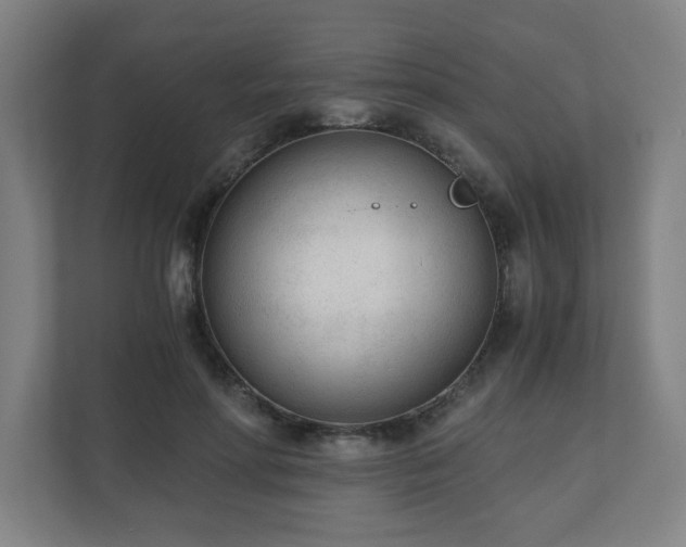 X0000110670598200906191346