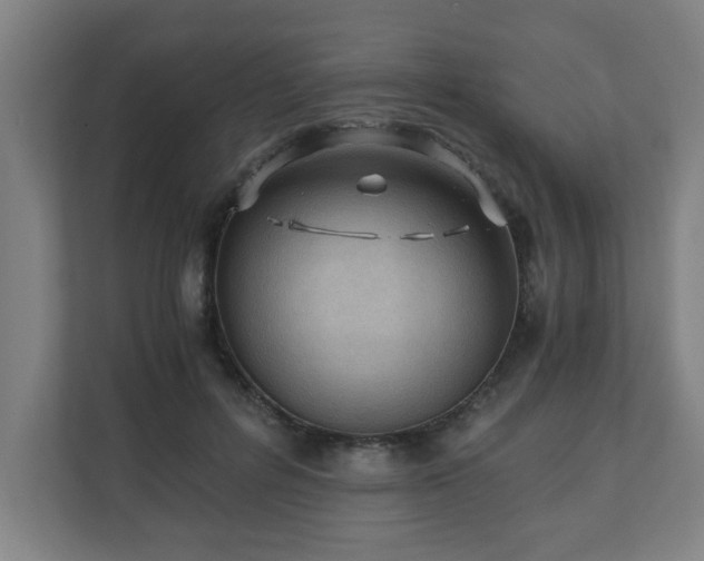 X0000110670600200906191346